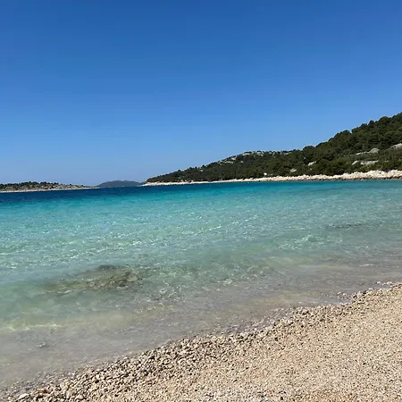 Apartment Villa Bachelor Apartments *