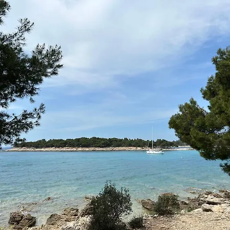 Villa Bachelor Apartments Apartment Vodice